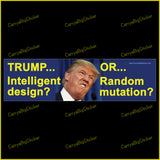 Bumper Sticker or Bumper Magnet says, Trump Intelligent Design or Random Mutation? Features Trump looking crazy with blue background and yellow letters.