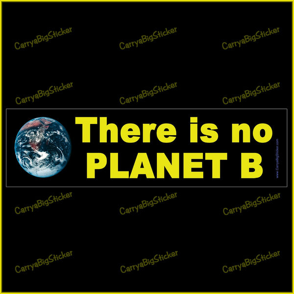 Bumper Sticker or Bumper Magnet says, There is no Planet B. Features photo of Earth from space.